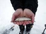 How to Catch Lake Trout: Steps (with Pictures) - How