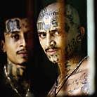 MS-13 Gang – La Mara Salvatrucha: Vol. 96 - ms13tatoos