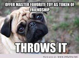 Cute Dog Sayings via Relatably.com