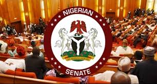 THISDAYLIVE - News update