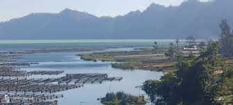 Bali Tribune - News update
