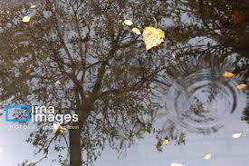 بارش پراکنده باران در سواحل دریای خزر و خراسان شمالی