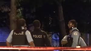 Chicago Violence Statistics