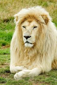 Image result for beautifull image