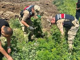 Kars Manşet - News update