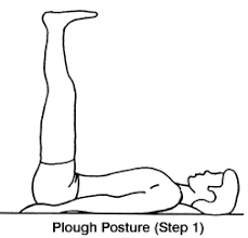 Image result for ardha halasana