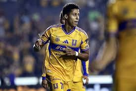 Brunetta, Ozziel y 'Chicha' serán la ofensiva de Tigres