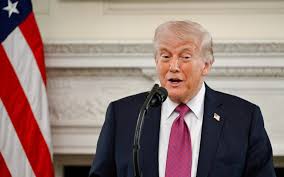 Trump: 'Incremento del 25% dei dazi su auto importate dall'Ue'