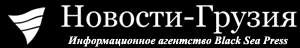 Картинки по запросу новости-грузия лого