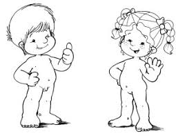 Resultado de imagen para cuerpo humano