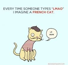 images?q=tbn:ANd9GcSo2ukZl_kJT87spXlh1JdetEtkDUxMjBYI7_fGbXzy9JSzKDkl1w