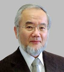 ... San Diego, March 13 at 3:30 p.m., as part of the annual Kyoto Prize Symposium. To register for the free talk, which is open to the public, please visit: ... - Ohsumi-Portrait