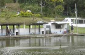 Resultado de imagem para pesca rs