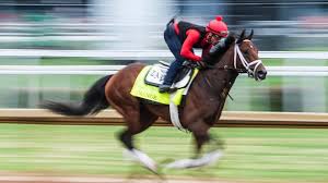Kentucky Derby 2025: Journalism Favored, Field Set After Scratches