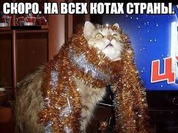 Кому, кусочек хорошего настроения:)?