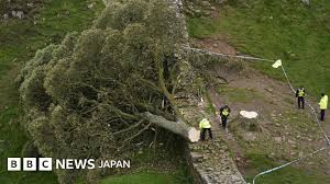 BBC - News update