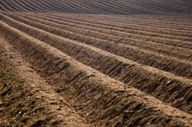 soil ile ilgili görsel sonucu