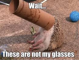 Image result for Animal Meme