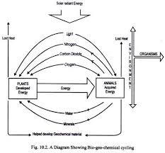 Image result for organisms and their environment