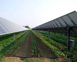 food processing plant using renewable energy sources