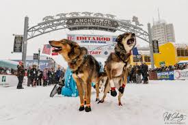 Iditarod 54th Race Underway: Key Updates and Insights