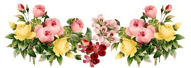 Image result for transparent flower headers