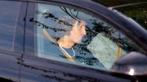 BILD - News update