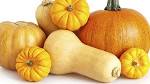 Nos recettes base de courge - 10Courges