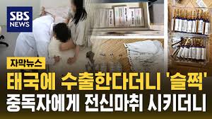 SBS 뉴스 - News update