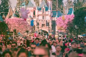 Image result for disney financial report 2015