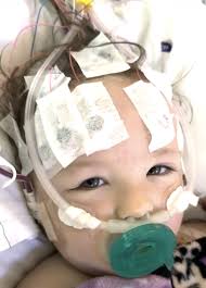 Hats Off to Annie Waldman and ProPublica: Two Little Girls, One Unlicensed Goat Dairy, E. coli O157:H7 and HUS, and California Let It Walk Away as “Pet Food”