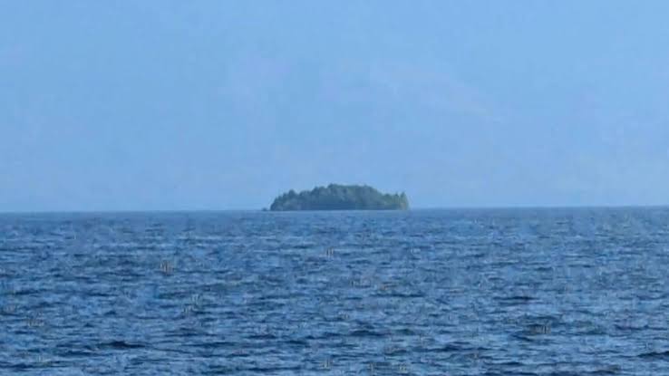 Mysterious forested island appears on B.C.'s Williston Reservoir, then vanishes by Aug. 5; BC Hydro's Bob Gammer says 'it's disappeared'