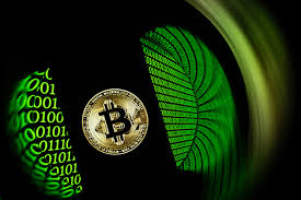 Bitcoin’s sagging price has crypto bears taking a victory lap. Why it’s too soon to count it out.