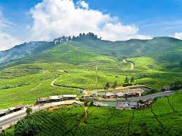 Image result for puncak rindu alam CIANJUR