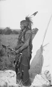 Image result for Comanche