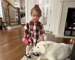 Image of Cody Rhodes' daughter Liberty Iris playing with his dogs