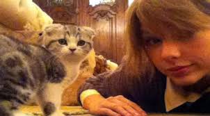 Sejak menggunakan instagram pada Oktober 2011 Taylor sering mengunggah foto Meredith di akunnya, ia selalu mengabadikan aktivitas lucu Meredith, ... - hewan4