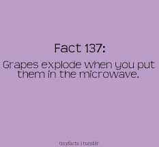 Supreme 5 admired quotes about microwave pic Hindi | WishesTrumpet via Relatably.com