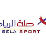 "صلة" تعلن تهكير موقع بيع