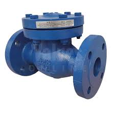 PN25 Cast Iron Flanged Swing Check Valve - Valves Online