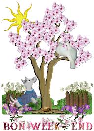 Résultat de recherche d'images pour "bon weekend ma belle"