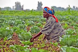 Image result for burundi