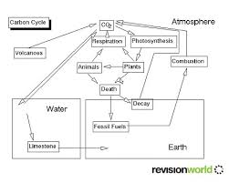Image result for organisms and their environment