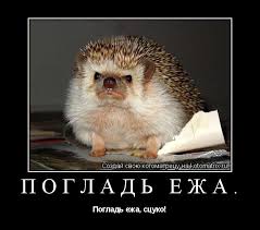 images?q=tbn:ANd9GcSpsuyJJpSgeFF_knAkXFw