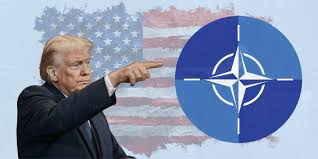 Al margen de Ormuz: Trump pide a OTAN no intervenir