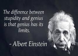 alberteinstein+quote++stupidity+vs+genius.jpg via Relatably.com