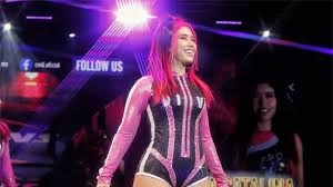 ¿La Catalina será la sorpresa de Lucha Libre AAA en Ciudad de México?, esto se sabe