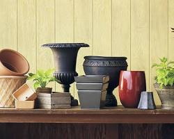 Image of various types of planters