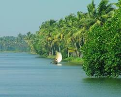 Image of Kuttanad Backwaters Alleppey