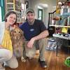 Story image for Best Pet Supplies Dog Supplies Dog Toys For Sale from Hartford Courant